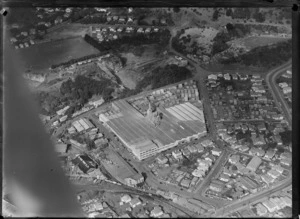 Mount Eden, Auckland, includes Henderson and Pollard timber manufacturing plant and housing