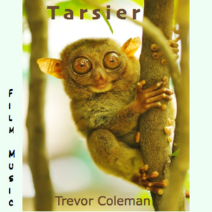 Tarsier [electronic resource] : film music/ Trevor Coleman.