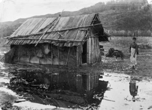 Taumarunui