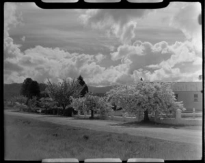 Reefton, West Coast, includes street, housing and gardens