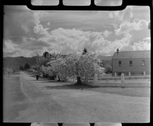 Reefton, West Coast, includes street and housing