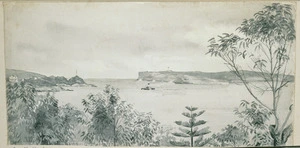Lister Family :South Head - Entrance to Sydney Harbour - from the verandah of Mrs Broad's house. June 2 1890