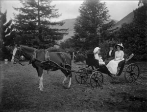 Horse drawn buggy, persons unidentified