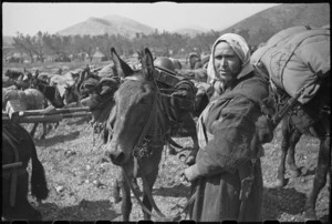 French Moroccan mules solve supply problem on mountanous Italian Front, World War II - Photograph taken by George Kaye