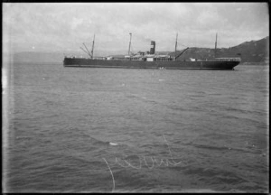 Ship Surrey, Wellington Harbour