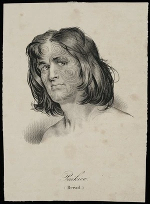 Arago, Jacques Etienne Victor, 1790-1854 :Paikice (Bresil). [Paris? ca 1840]