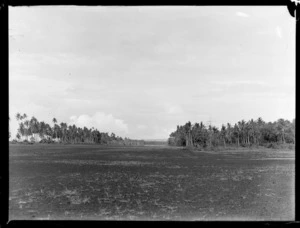 View of cleared land through palm trees for Faleolo Airfield, Western Samoa