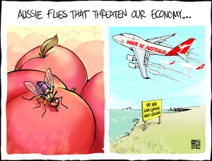 Smith, Hayden James, 1976- :Aussie flies that threaten our economy...15 May 2012