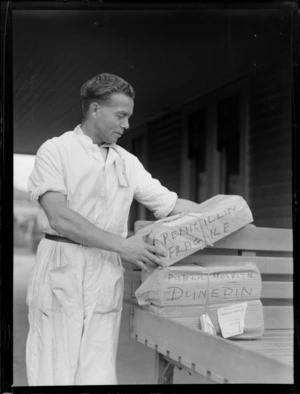Parcels of penicillin bound for Dunedin Public Hospital being loaded by unidentified baggage handler, Rongotai Airport, Wellington