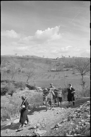 Italian peasants continue farming within sound of guns on the Italian Front, World War II - Photograph taken by George Kaye