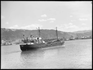 Rannah in Wellington Harbour