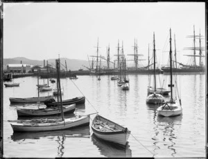 Small boats in Wellington Harbour