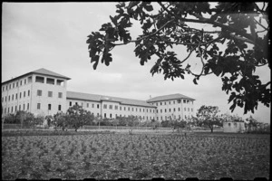 General view of 1 New Zealand General Hospital, Molfetta, Italy, World War II - Photograph taken by George Bull
