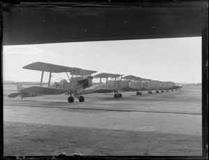 View of a line up of Auckland Aero Club Tiger Moth aeroplanes, Mangere Airfield, Auckland