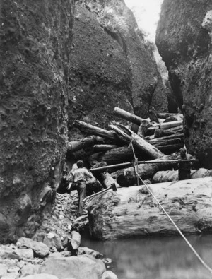 Photograph of two men freeing a jam of kauri logs