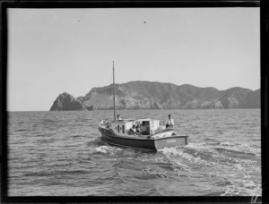 Unidentified group on fishing launch (Ozone) with swordfish, Bay of Islands