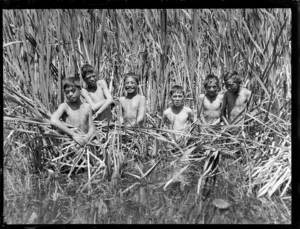 Māori boys wading in raupo reeds, Tokaanu