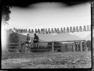 Two unidentified men sitting on a fence, with rabbit skins drying on a line, Lake Manapouri, Southland