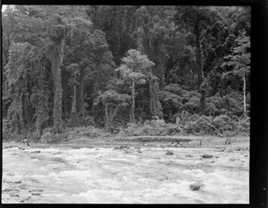 View of local Bougainville Islanders crossing a large mountain river with jungle beyond, North Solomon Island group