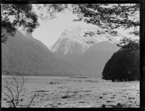 View of Eglinton Valley river flats with a car, a person and sheep, to a snow covered mountain beyond, Fiordland National Park, Southland Region