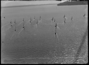 View of a yacht race on Auckland Harbour