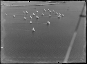 View of a yacht race on Auckland Harbour