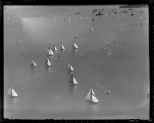View of a yacht race on Auckland Harbour