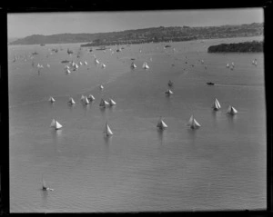 View of a yacht race on Auckland Harbour