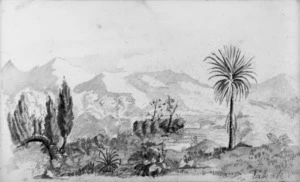 [Baigent, Amos], fl 1860-90s :Takaka. [1860-70s].