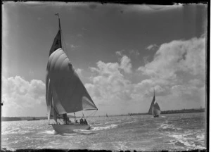 Yachting on Auckland Harbour