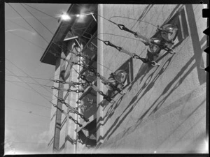 Aerial transmitter leads, Musick Point Air Radio Station, Howick, Auckland