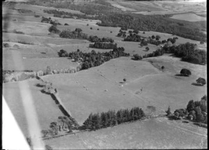 Rural scene, Waikato farming district, showing a farmhouse property in the background on the right