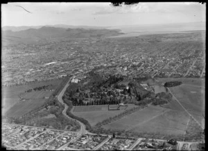 Christchurch City and Hagley Park with Riccarton Avenue in foreground, Canterbury