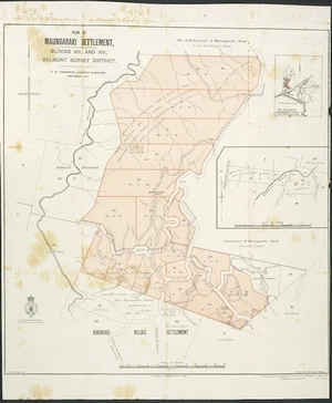 Plan of Maungaraki settlement, blocks VIII and XIII, Belmont Survey District / F.A. Thompson, District Surveyor ; F.J. Halse, delt. ; compiled at the Head Office, Department of Lands and Survey, Wellington, N.Z. November 1901, F.W. Flanagan, Chief Draughtsman.