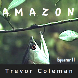 Equator. II, Amazon [electronic resource] / Trevor Coleman.