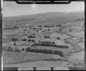 Rural area, Pukekohe, Franklin District