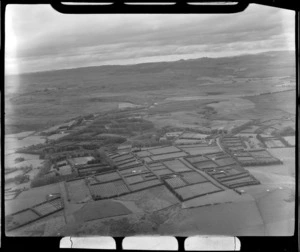 Market gardens near the township of Kerikeri, looking east to bush covered hills and farmland beyond, Bay of Islands, Northland Region