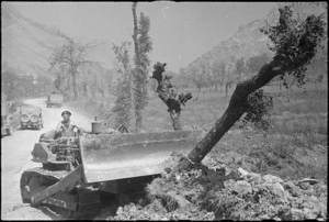 Bulldozer flattens tree to make new track as NZ Division advances in Atina, Belmonte area, Italy, World War II - Photograph taken by George Kaye