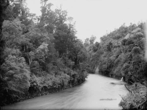 Kawhatau River and native bush