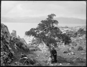 Karaka Bay, Wellington