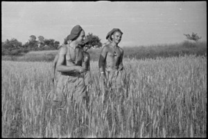 M A Kemp and T M Rowat in a wheatfield near Sora, Italy, World War II - Photograph taken by George Kaye