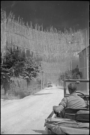 Camouflage screens erected by Germans on road between Vicalvi and Sora, Italy, World War II - Photograph taken by George Kaye