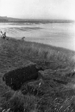 New Zealand. Camouflaged trenches at Campbell's Bay