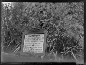 A plaque at the foot of Tane Mahuta, the giant Kauri tree at Waipoua Kauri Forest, Northland