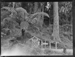 Two unidentified women standing alongside Maori Kowhaiwhai panels and signposts at Waipoua Kauri Forest, Northland
