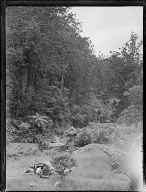 An unidentified woman looking inside a Ford two-door coupe car, at Waipoua Kauri Forest, Northland