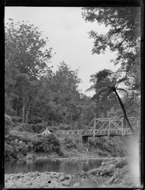 Waipoua Kauri Forest, Northland, showing a bridge across the Waipoua River