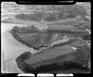 Orchards, Mapua, Tasman district