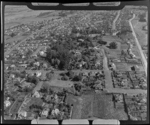 View of a residential suburb with mansion houses surrounded by trees, Timaru, South Canterbury Region