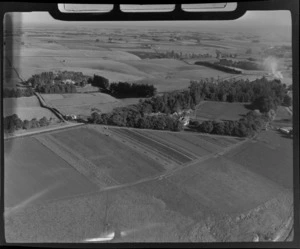 View to the Elms homestead surrounded by trees and farmland, Timaru District, South Canterbury Region